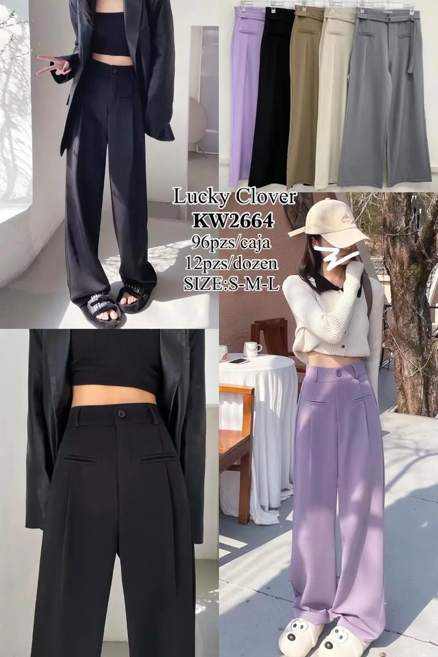 Pantalon Ancho Moderno-HS25-KW2664 1 Pantalon Ancho Moderno-HS25-KW2664