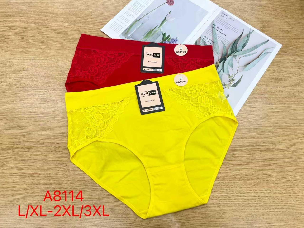 pantaleta-de-algodon-con-encaje-3003-50192d90-7a04-464e-a18a-aac1369a22f2