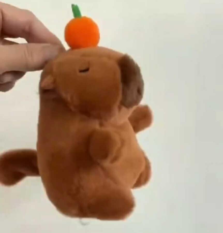 peluche-de-capibara-con-calabaza-17773-cfd54efa-1d08-42e1-a9b2-df49ec885bb7